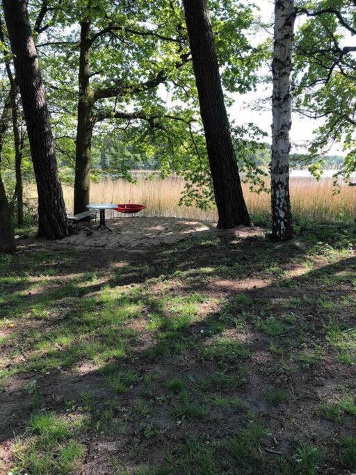 Haus Wilma Gruene Idylle Im Wald Direkt Am See Вендиш Риц Екстериор снимка